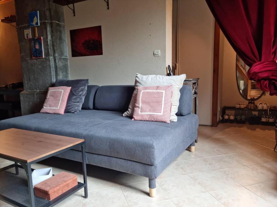 Chateau D'Uriage - Duplex Avec Terrasse Privative Saint-Martin-dʼUriage Dış mekan fotoğraf
