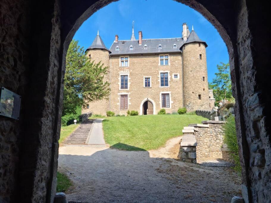 Chateau D'Uriage - Duplex Avec Terrasse Privative Saint-Martin-dʼUriage Dış mekan fotoğraf